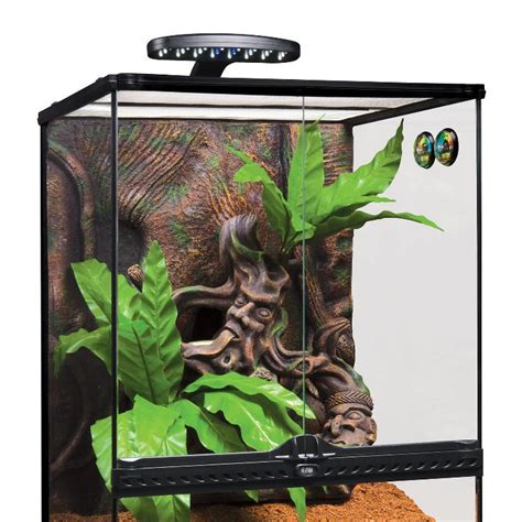 metal enclosure 18 x17 x14|18x18x24 crested gecko terrarium.